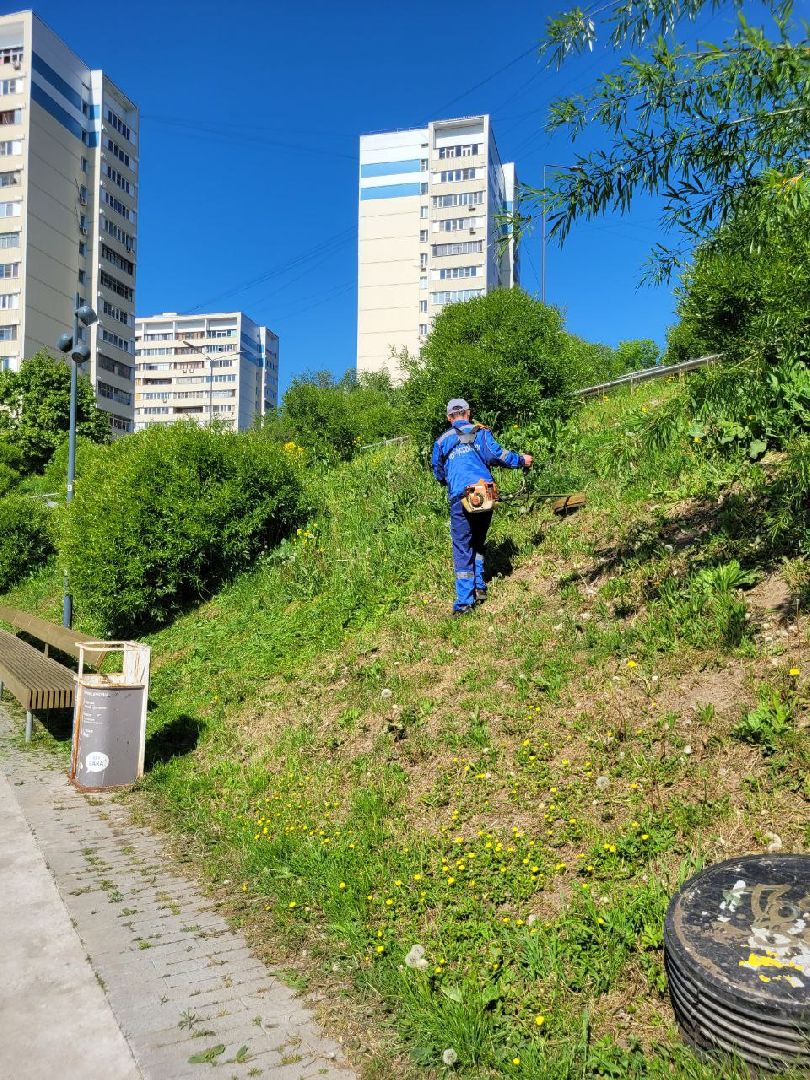 лето, ленинский округ, сезонные работы, покос