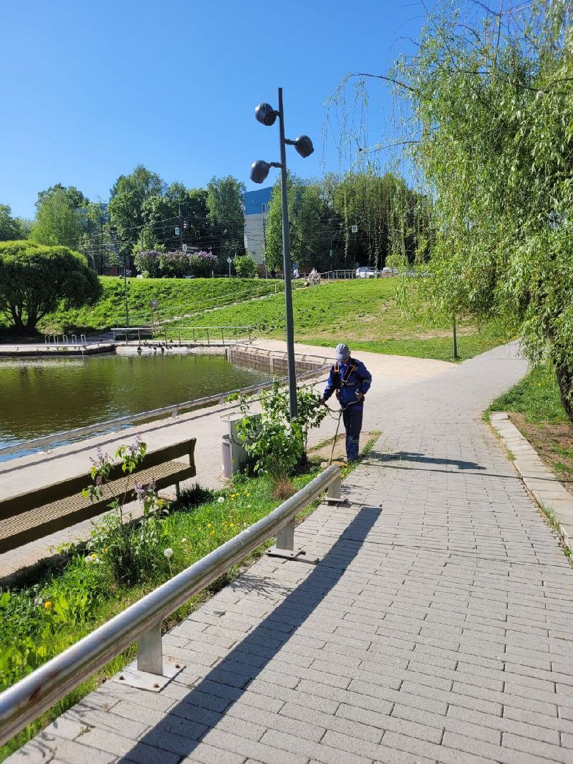 лето, ленинский округ, сезонные работы, покос