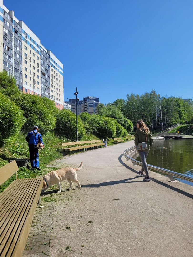 лето, ленинский округ, сезонные работы, покос