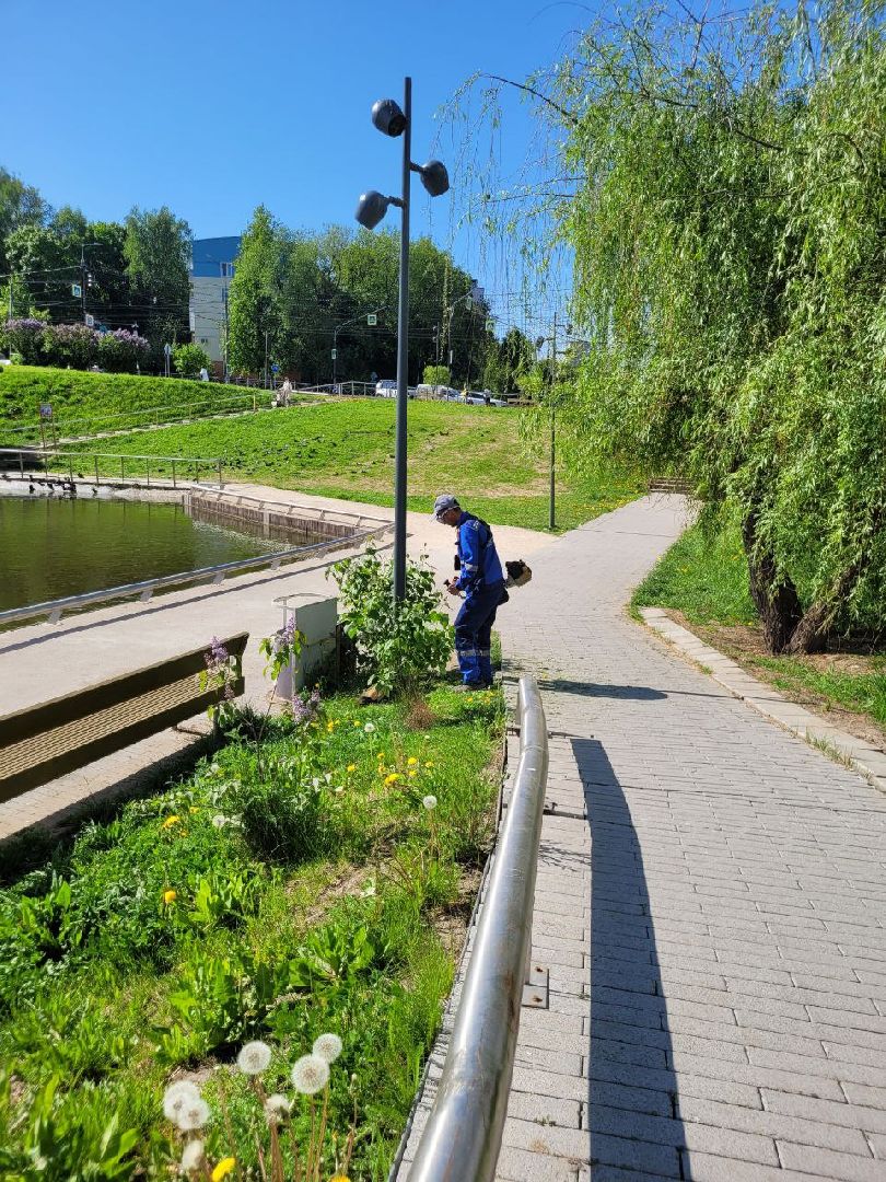 лето, ленинский округ, сезонные работы, покос