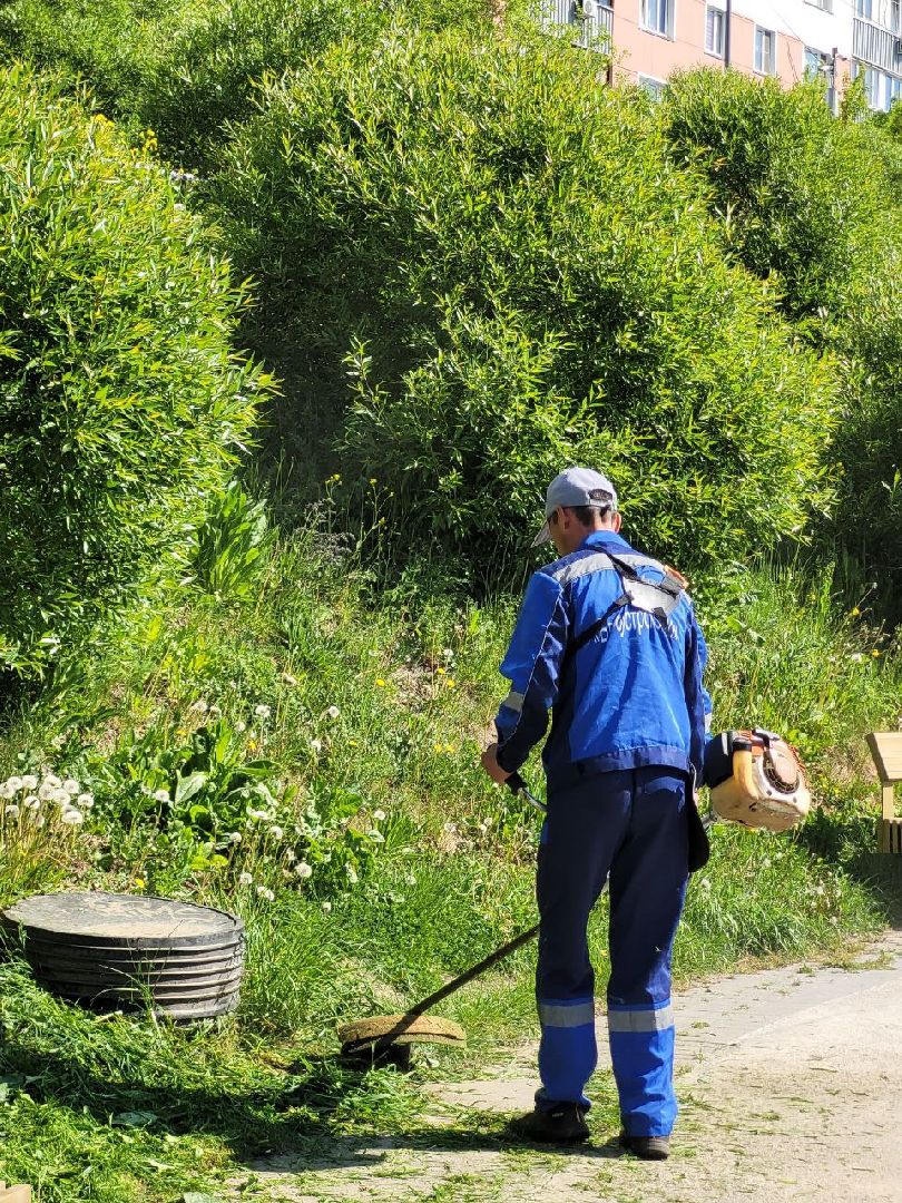 лето, ленинский округ, сезонные работы, покос