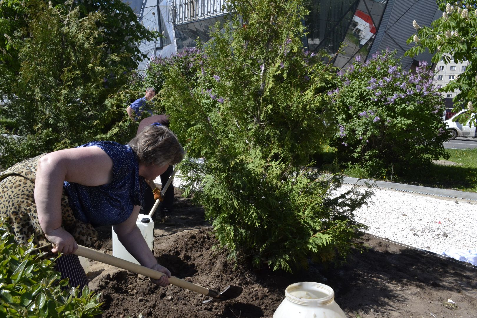 Балашиха, Подмосковье, благоустройство, Лес Победы, депутаты, Бульвар цветов