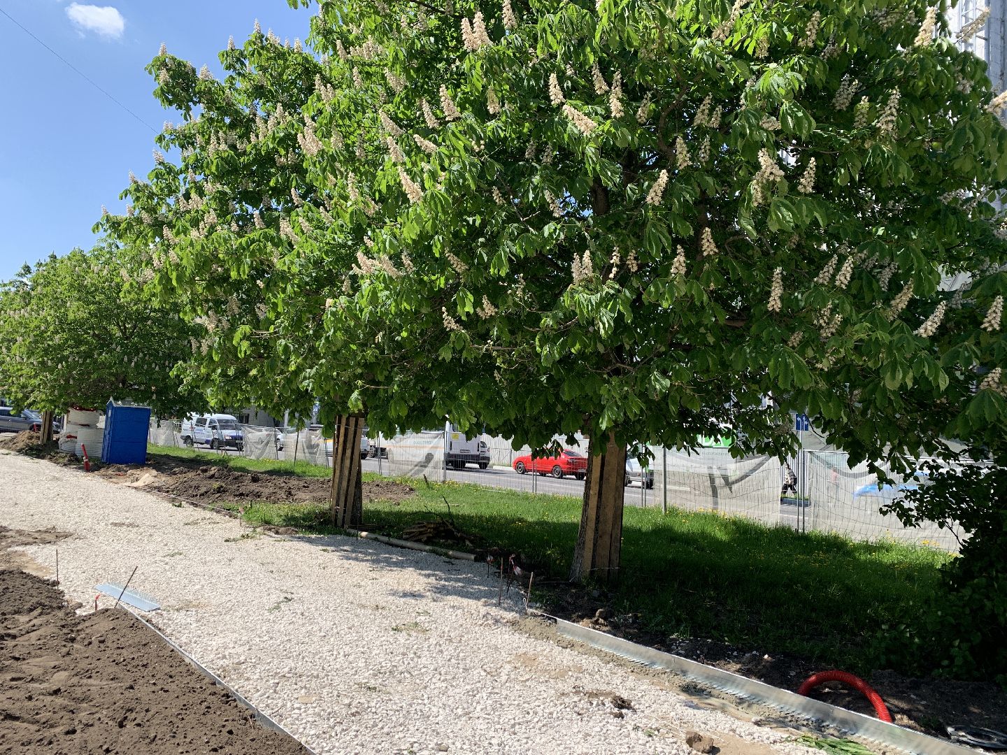 Балашиха, Подмосковье, благоустройство, Лес Победы, депутаты, Бульвар цветов