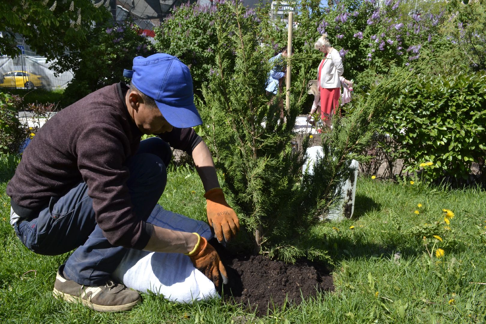 Балашиха, Подмосковье, благоустройство, Лес Победы, депутаты, Бульвар цветов