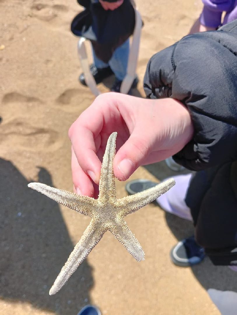 Реутов, образование, Орлята России, дети, школьники, ВДЦ