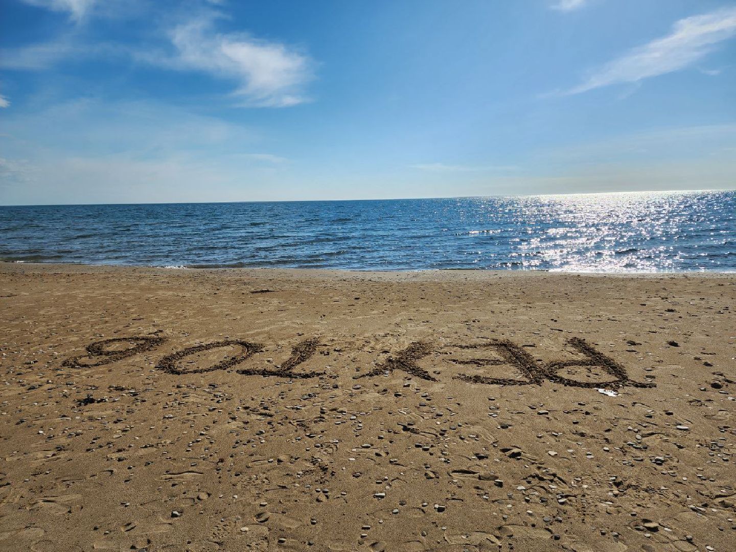 Реутов, образование, Орлята России, дети, школьники, ВДЦ