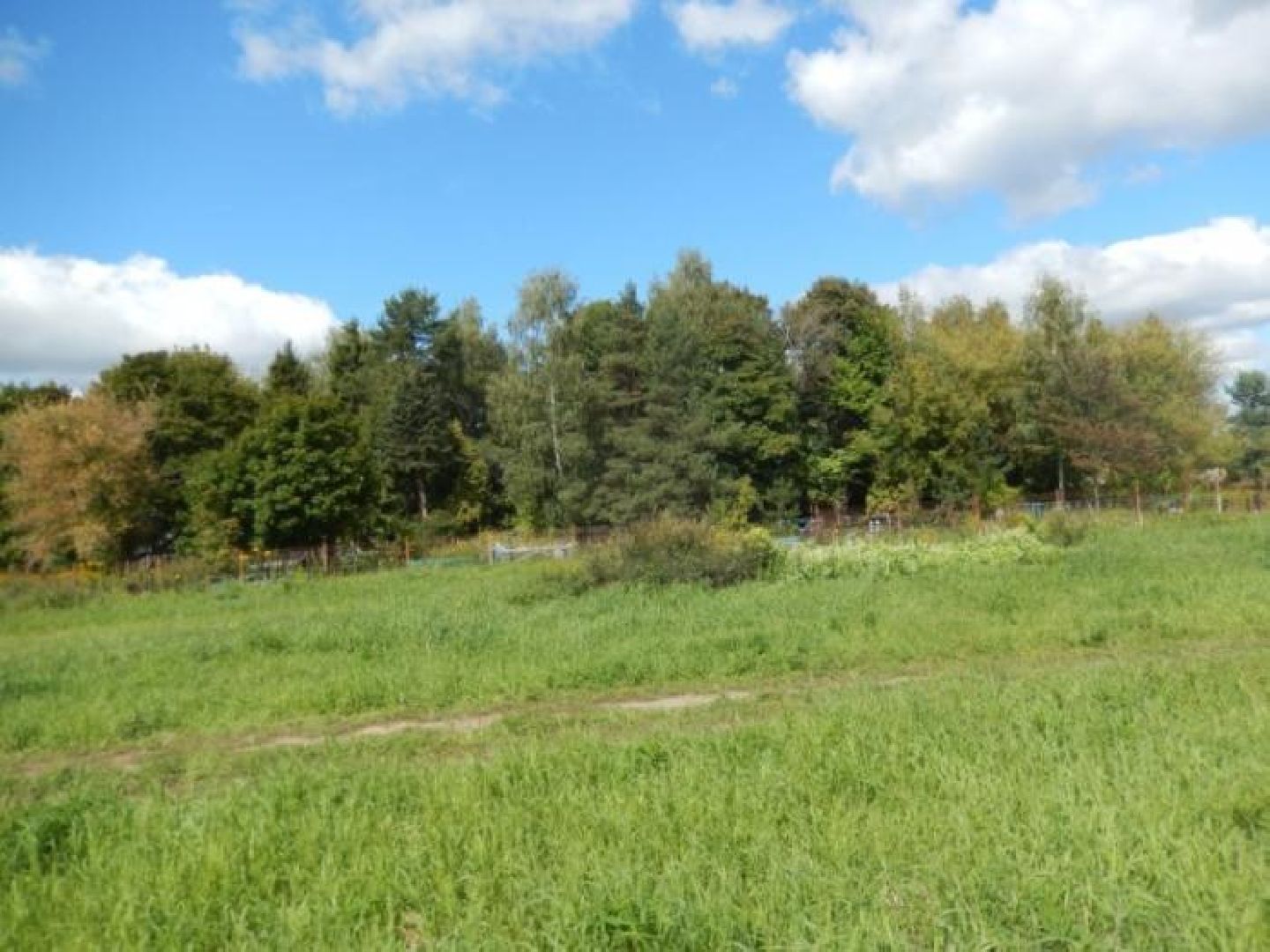 Звенигород, похитители 13 надгробий, кладбищенские воры, уголовное дело, УМВД по Одинцовского городскому округу, вандализм на кладбище