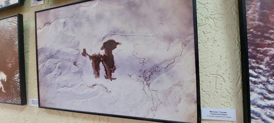 Пущино, культура, фотовыставка