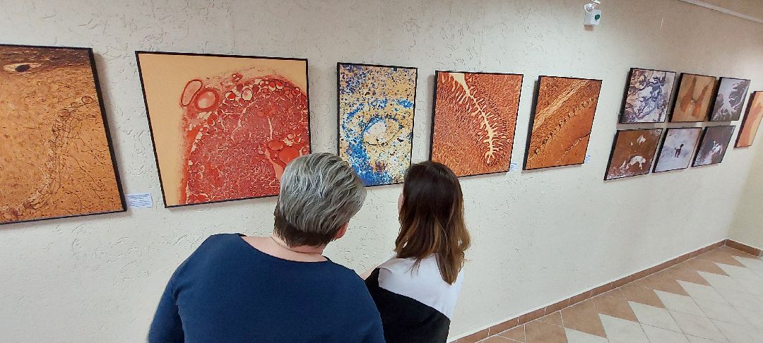 Пущино, культура, фотовыставка