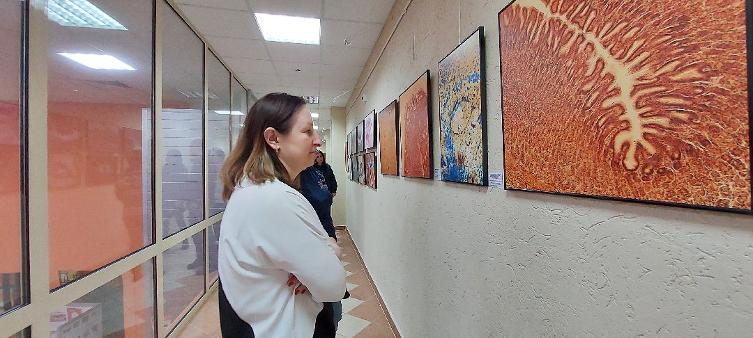 Пущино, культура, фотовыставка