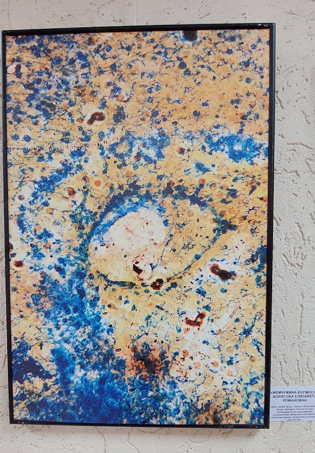 Пущино, культура, фотовыставка