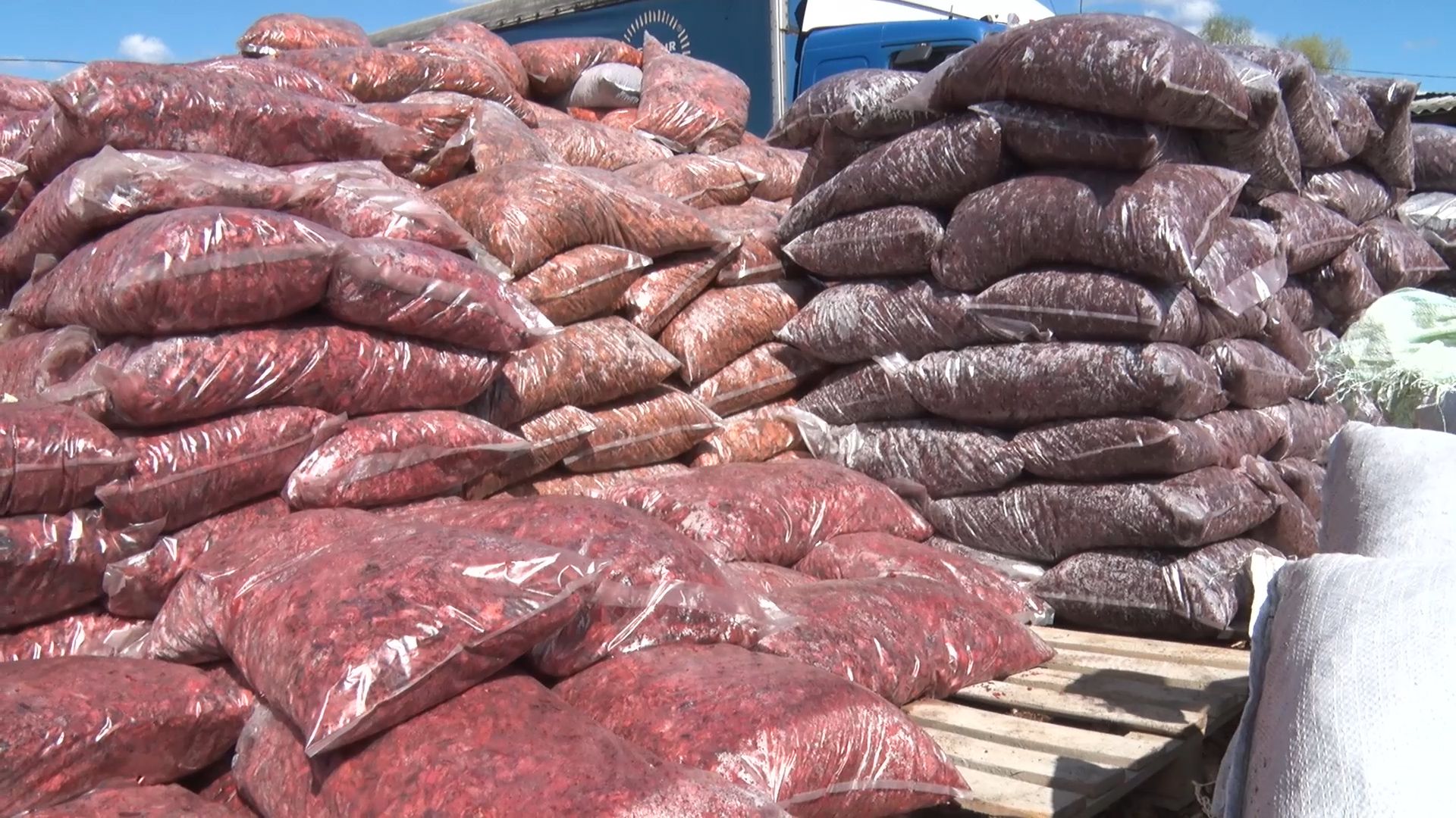 Экономика, предприниматель, бизнес, щепа, Орехово-Зуево, Губино