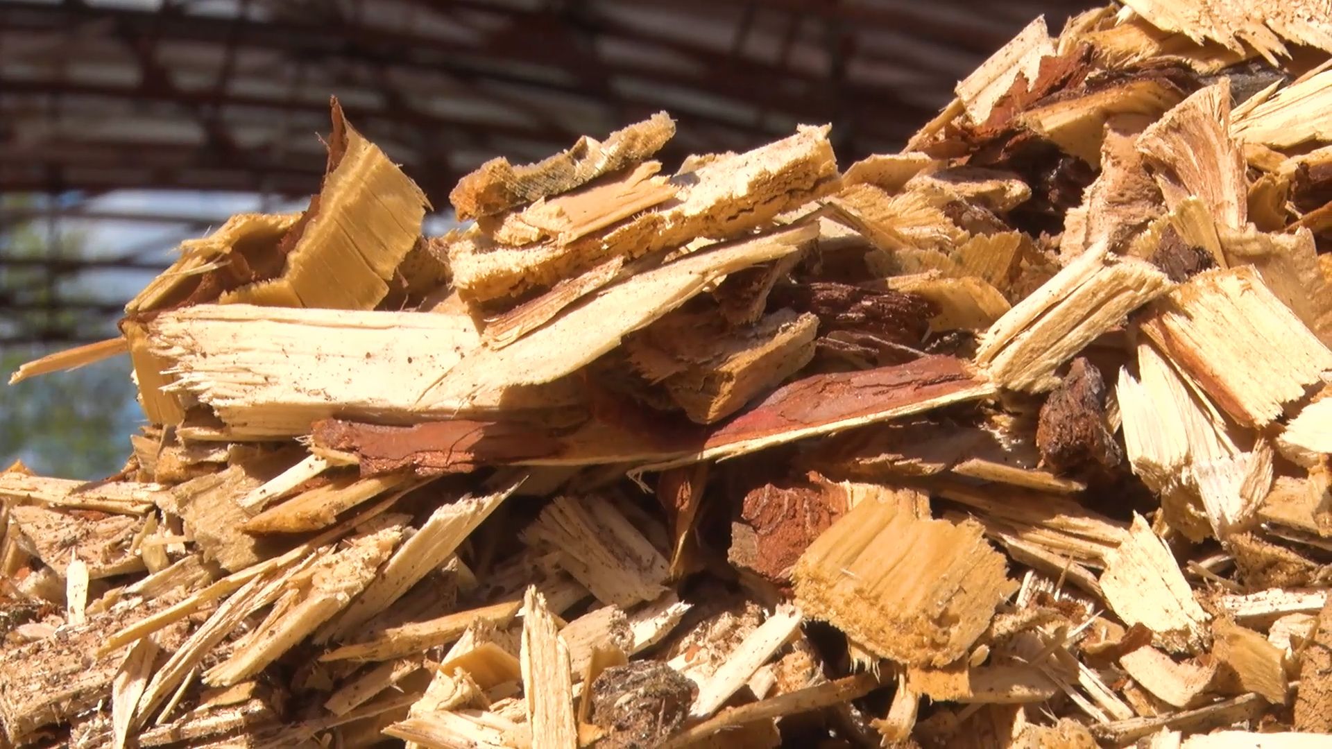 Экономика, предприниматель, бизнес, щепа, Орехово-Зуево, Губино