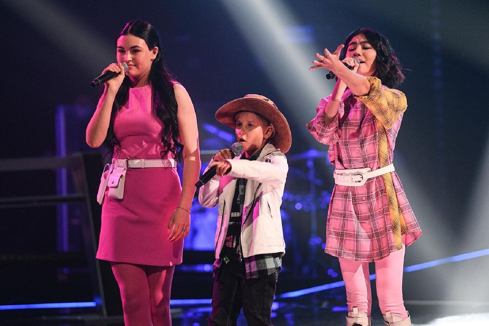 Фрязино, общество