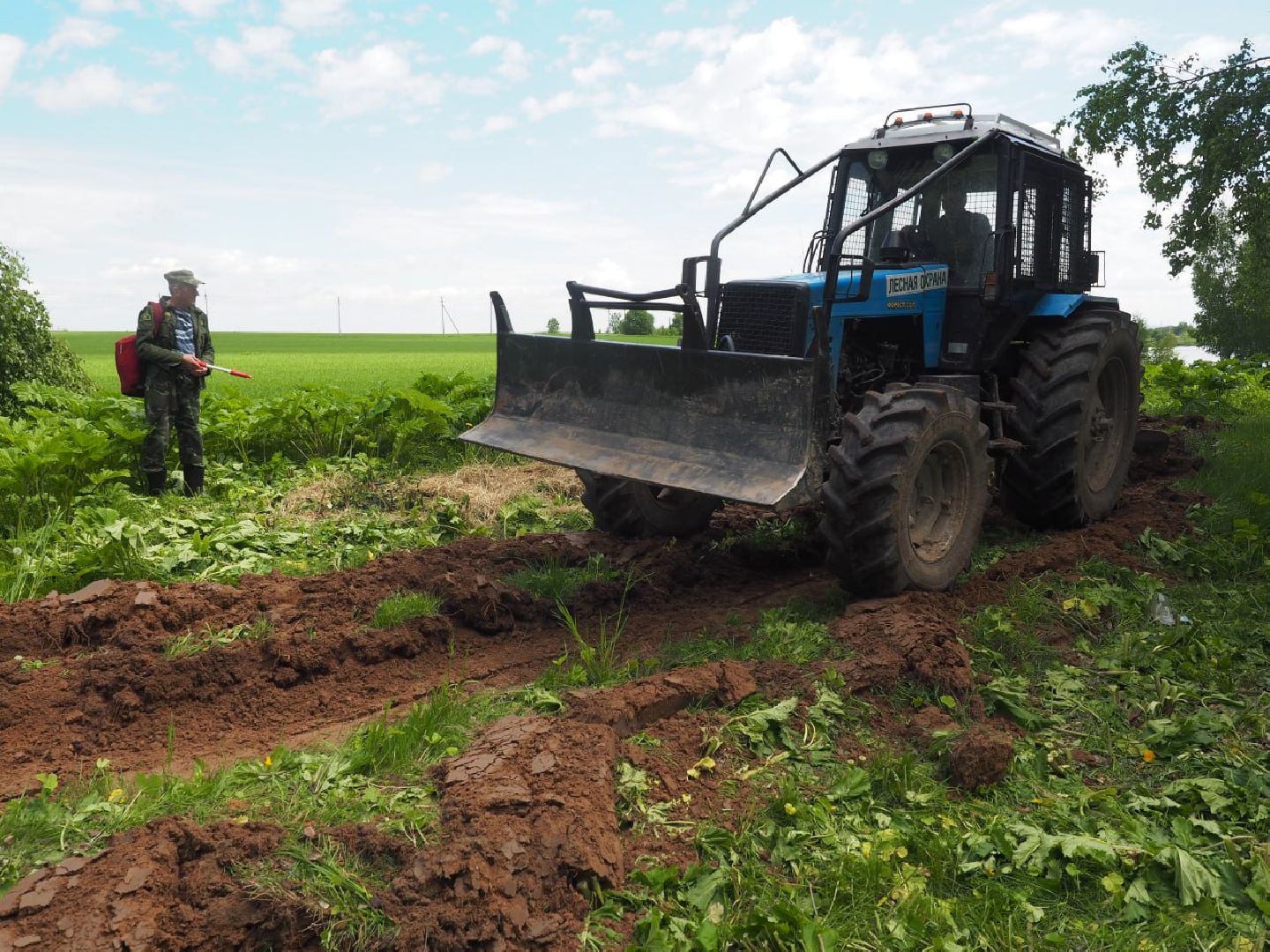Сергиев Посад, Сергиево-Посадский городской округ, Безопасность, Пожароопасный сезон, Пожарные, Лес, Лесная охрана, Мособллес