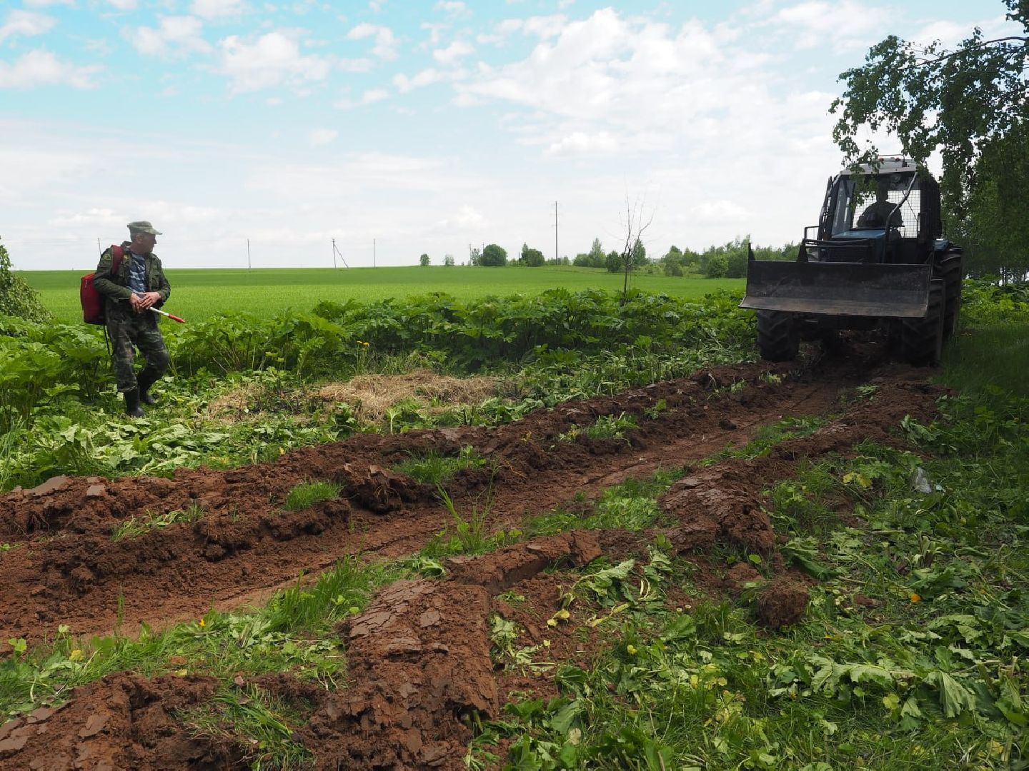 Сергиев Посад, Сергиево-Посадский городской округ, Безопасность, Пожароопасный сезон, Пожарные, Лес, Лесная охрана, Мособллес