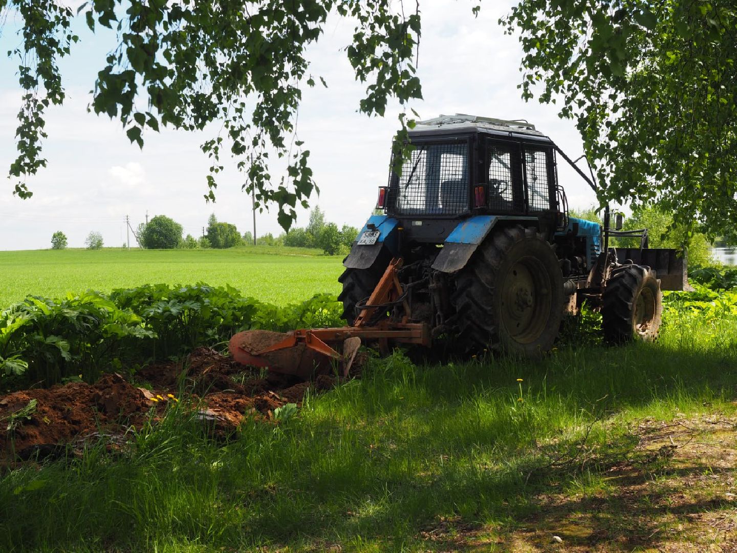 Сергиев Посад, Сергиево-Посадский городской округ, Безопасность, Пожароопасный сезон, Пожарные, Лес, Лесная охрана, Мособллес