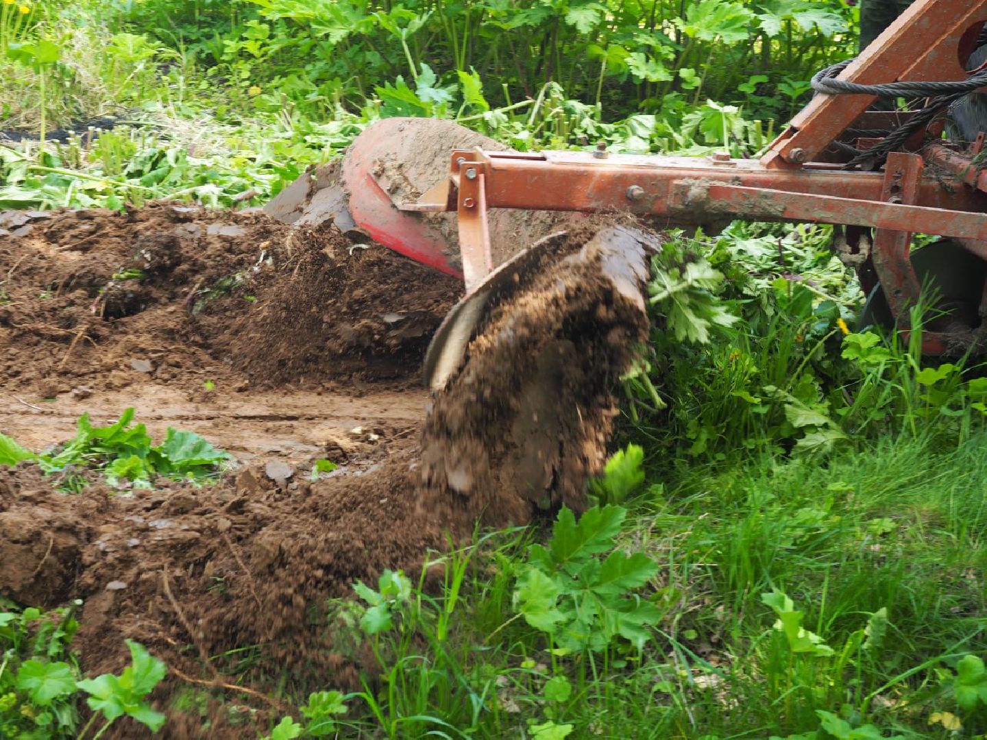 Сергиев Посад, Сергиево-Посадский городской округ, Безопасность, Пожароопасный сезон, Пожарные, Лес, Лесная охрана, Мособллес