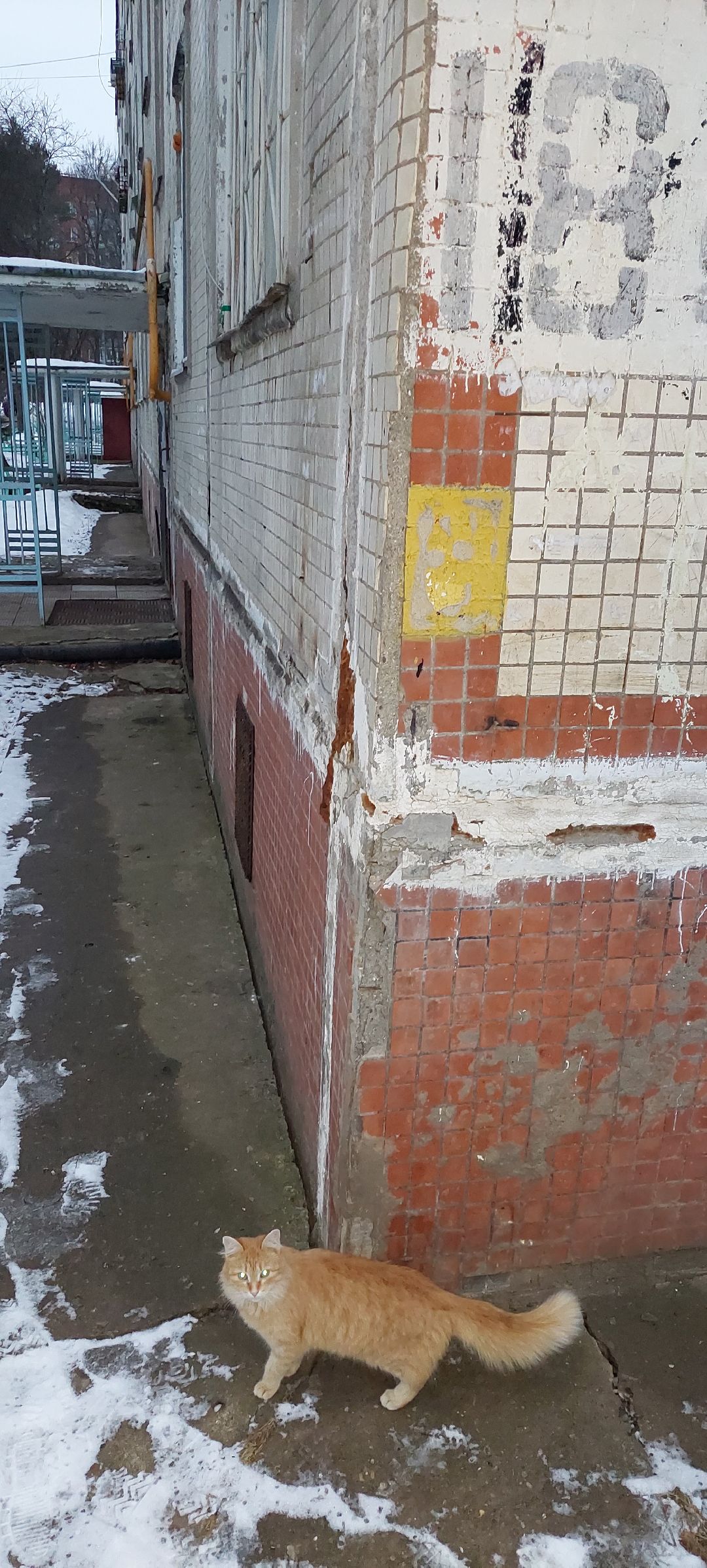 Пущино, строительство