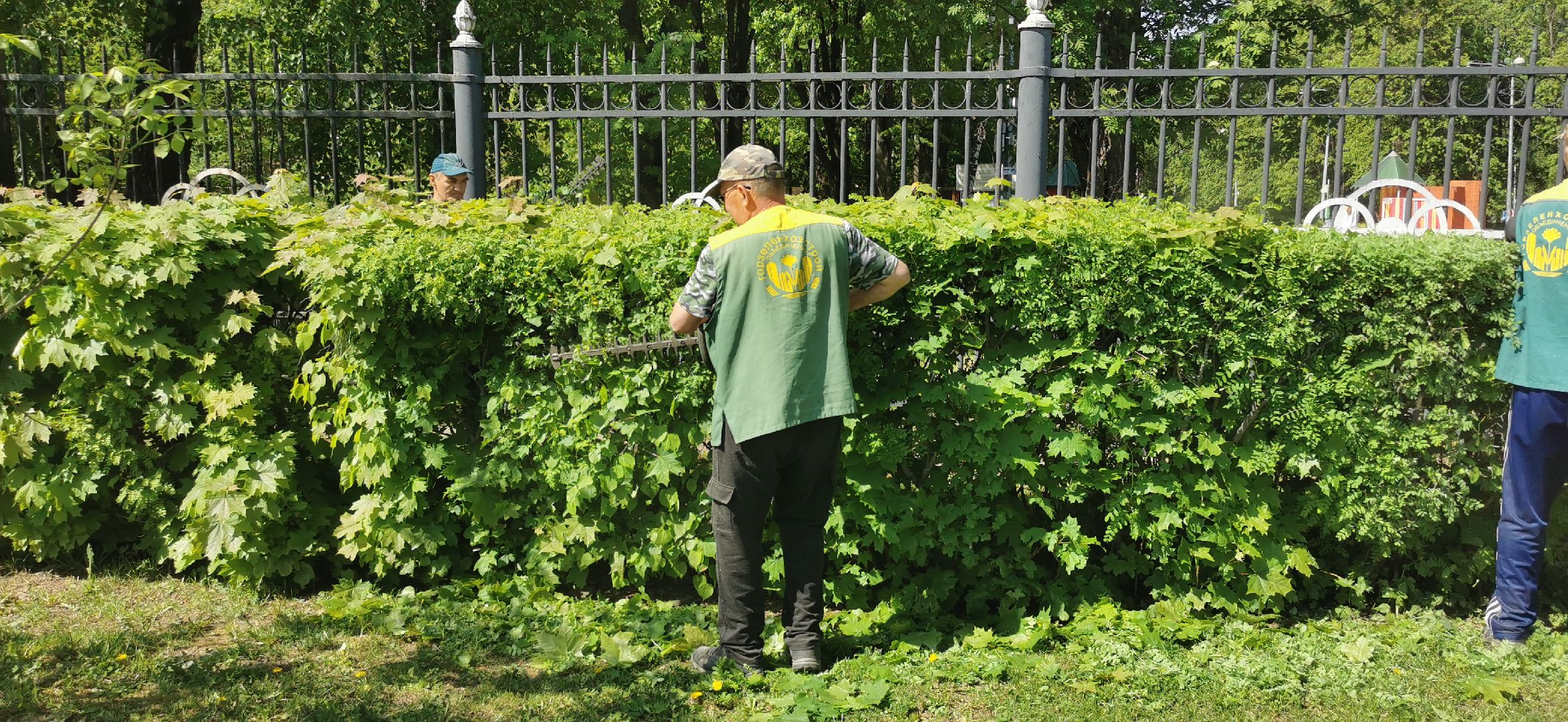 благоустройство, озеленение,