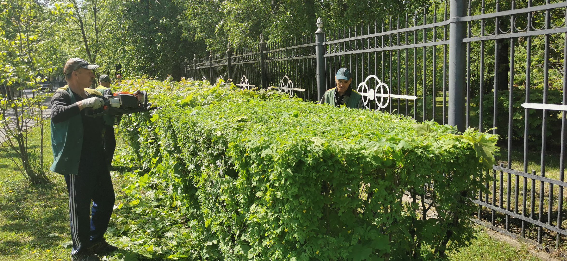 благоустройство, озеленение,