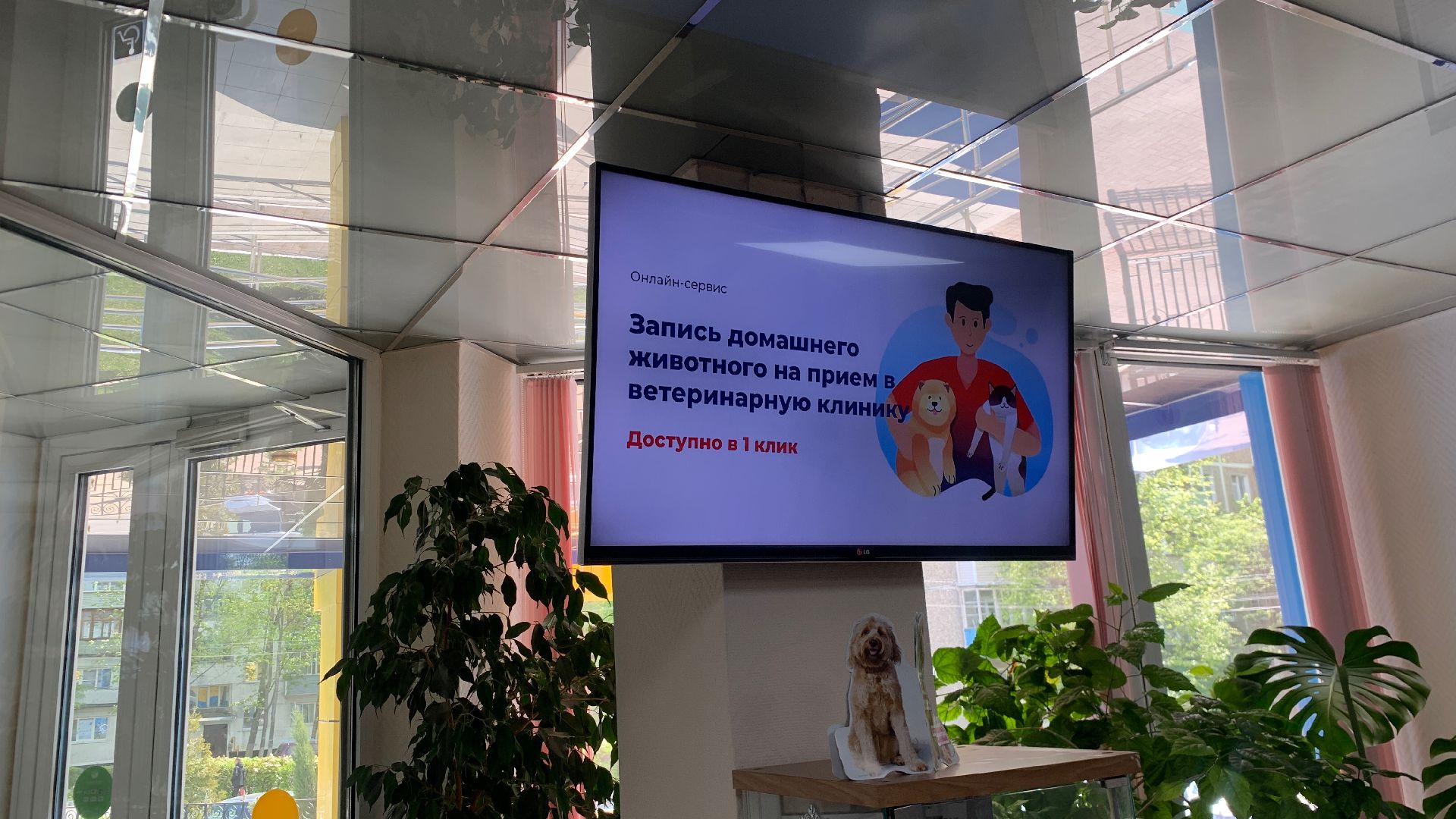 Ступино, ветстанция, медицина, госуслуги