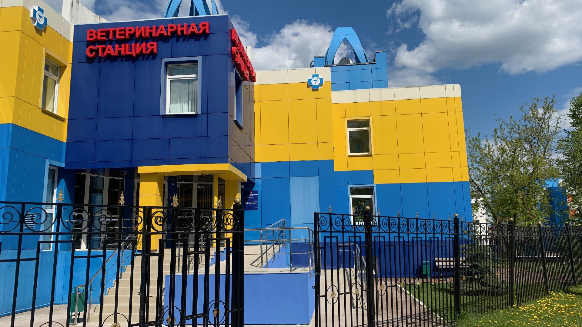 Ступино, ветстанция, медицина, госуслуги