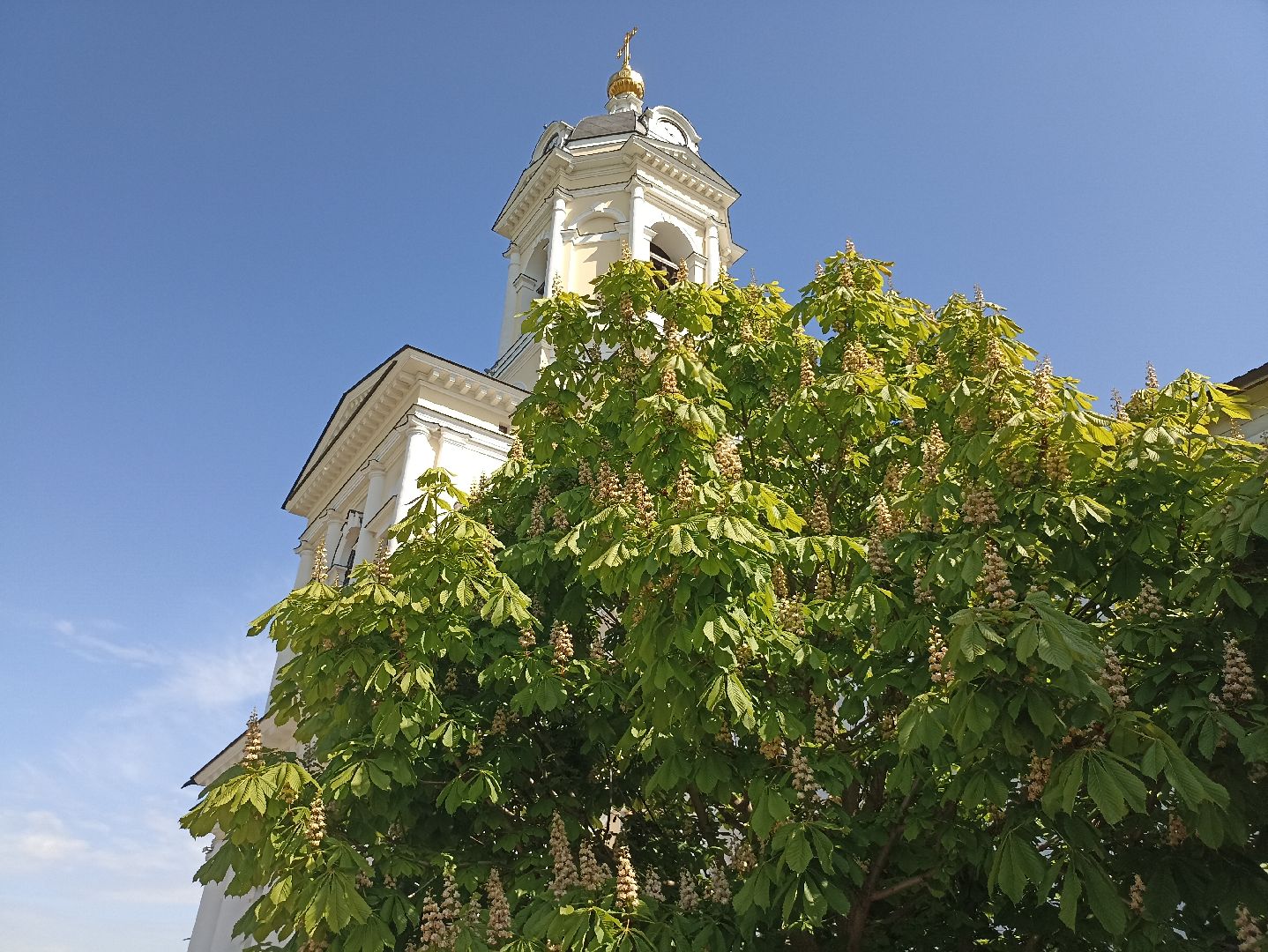 Серпухов, Подмосковье, Радонежский, монастырь, природа, туризм