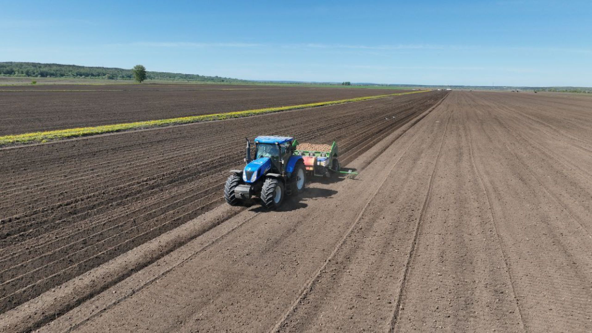 Серпухов, Подмосковье, посадки, сельскоехозяйство, агрономы