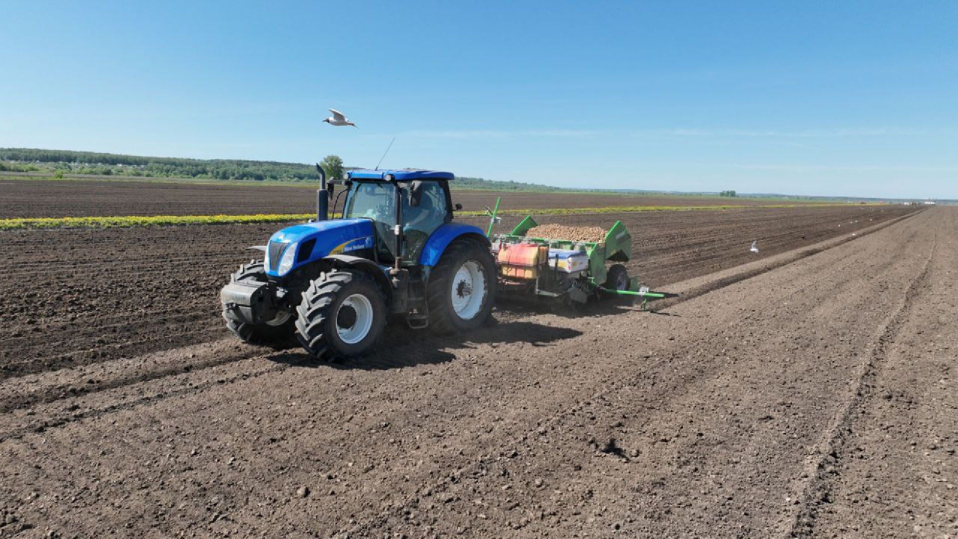 Серпухов, Подмосковье, посадки, сельскоехозяйство, агрономы