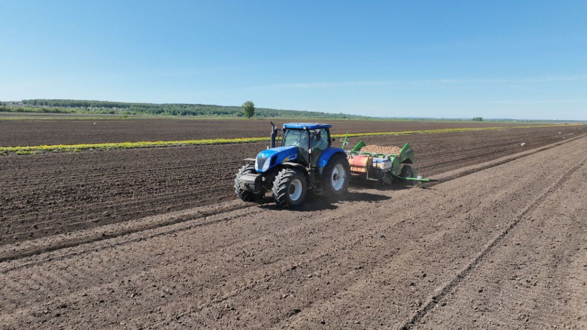 Серпухов, Подмосковье, посадки, сельскоехозяйство, агрономы