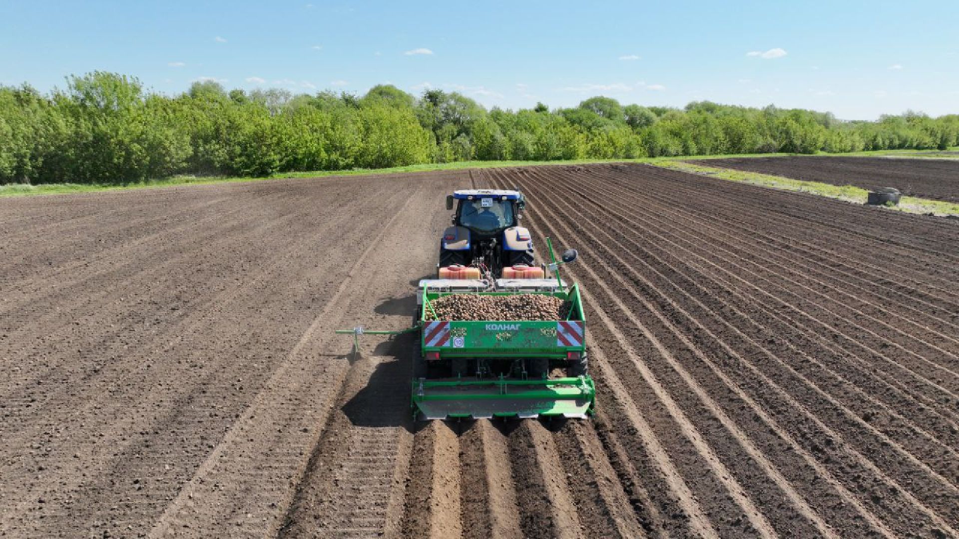 Серпухов, Подмосковье, посадки, сельскоехозяйство, агрономы