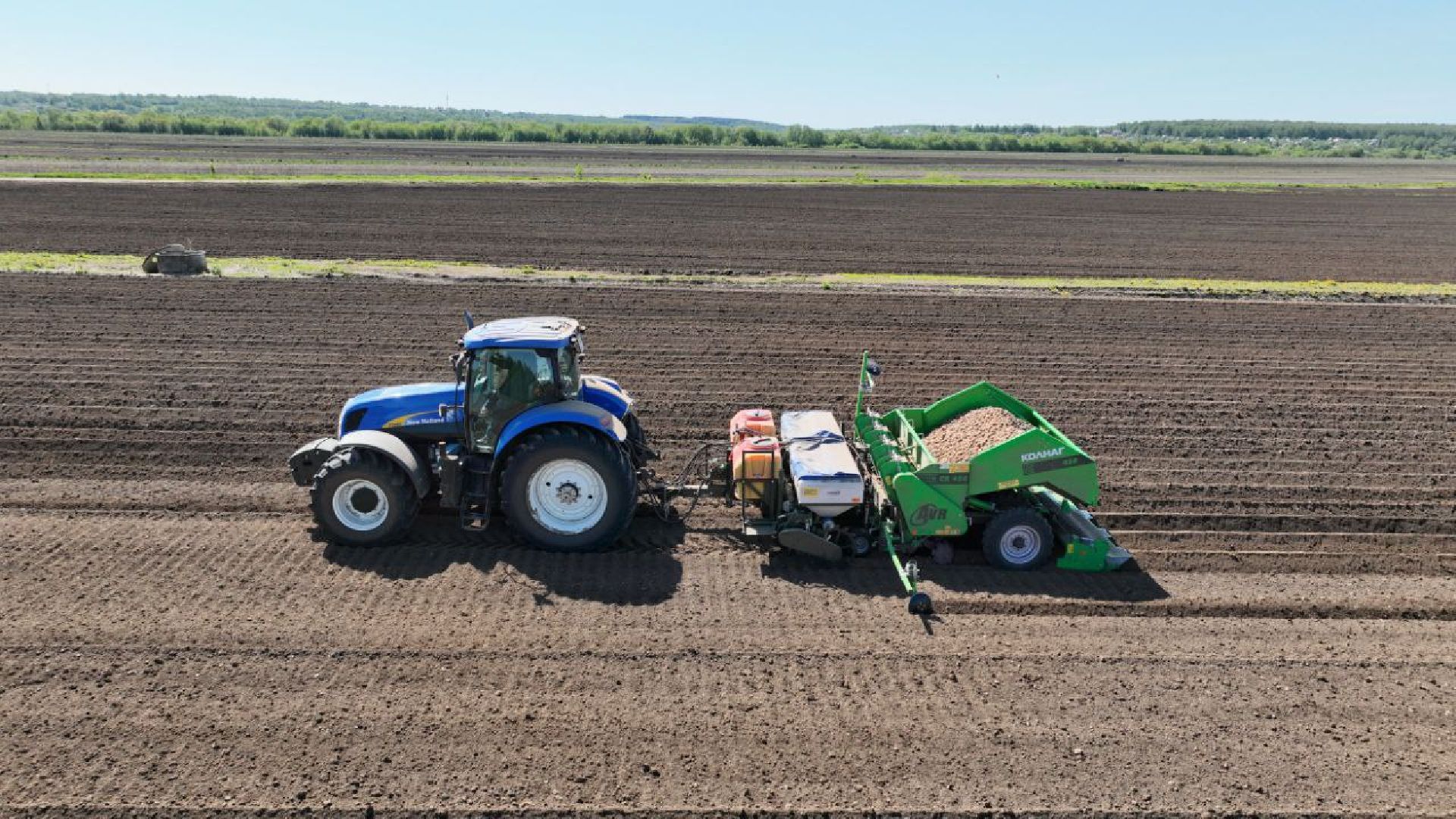 Серпухов, Подмосковье, посадки, сельскоехозяйство, агрономы