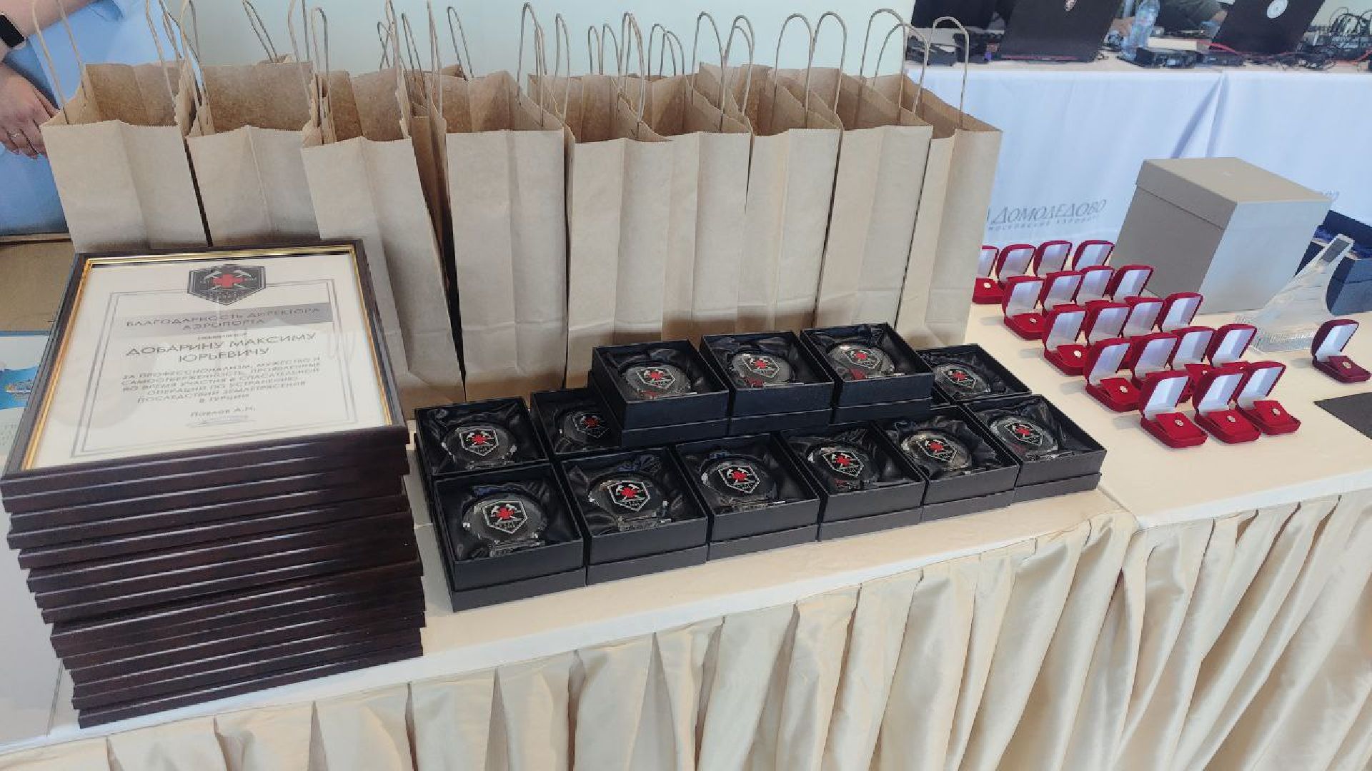 Человек года, аэропорт Домодедово