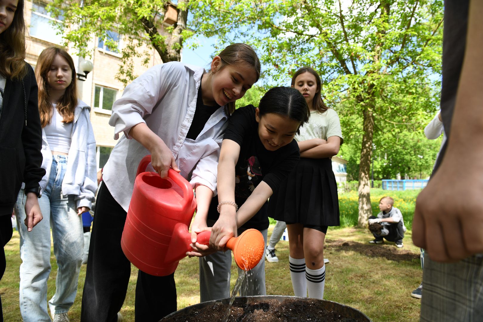 лыткарино, общество, парк, огород, парковый ответ,
