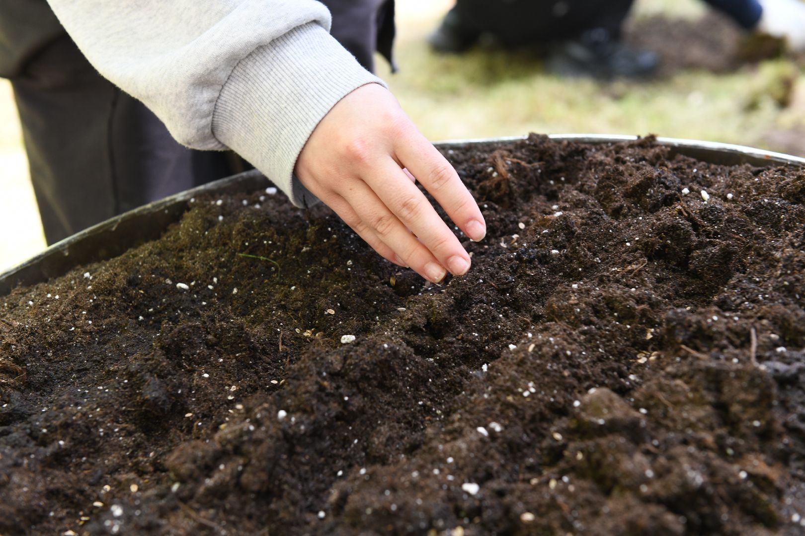 лыткарино, общество, парк, огород, парковый ответ,