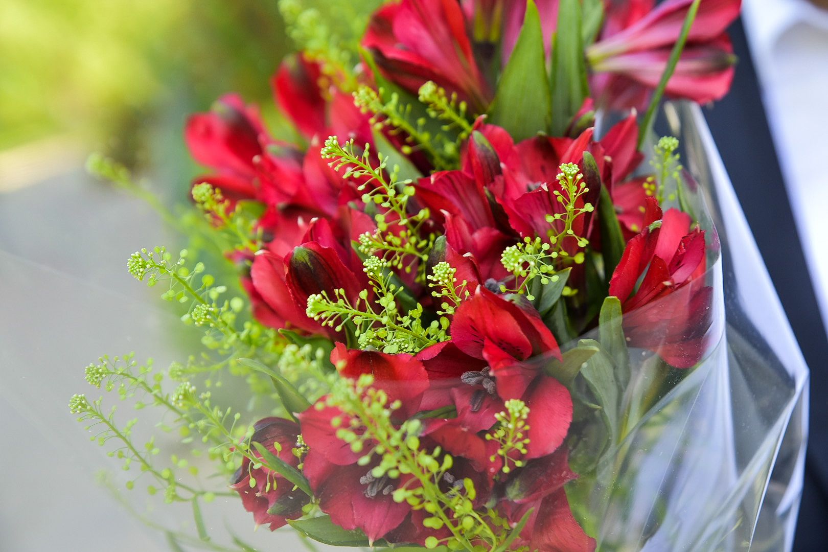 Солнечногорск, поздравление, почетный гражданин, кривулин, день рождения