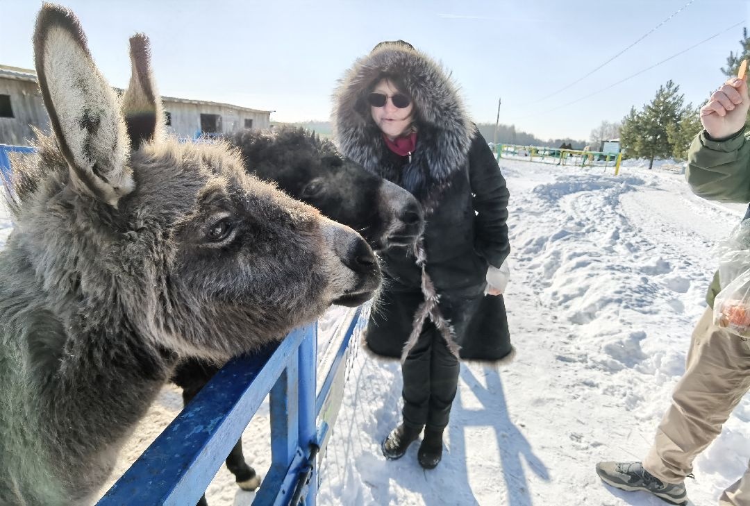 Контактный зоопарк, Горки