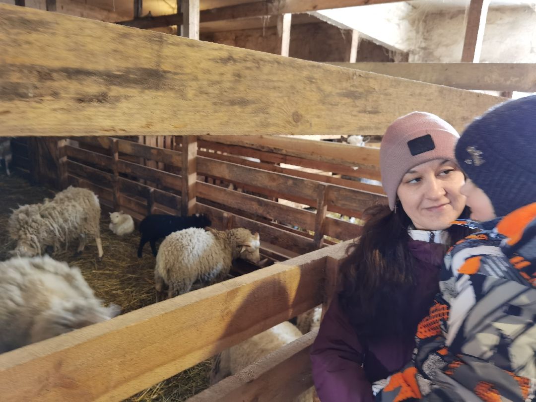 Контактный зоопарк, Горки