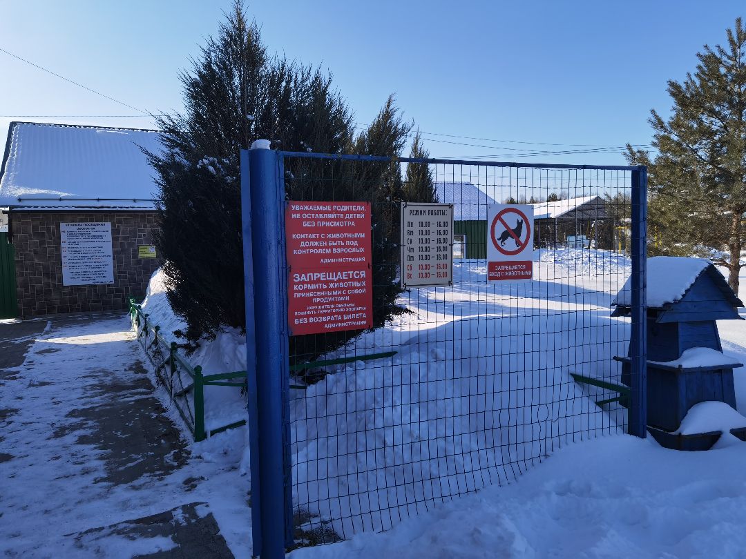 Контактный зоопарк, Горки