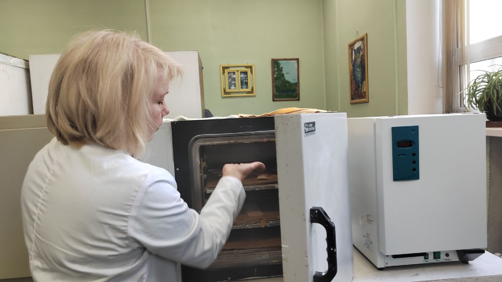 Пушкино, краски, лаки, производство, бизнес, СВО, Лесной