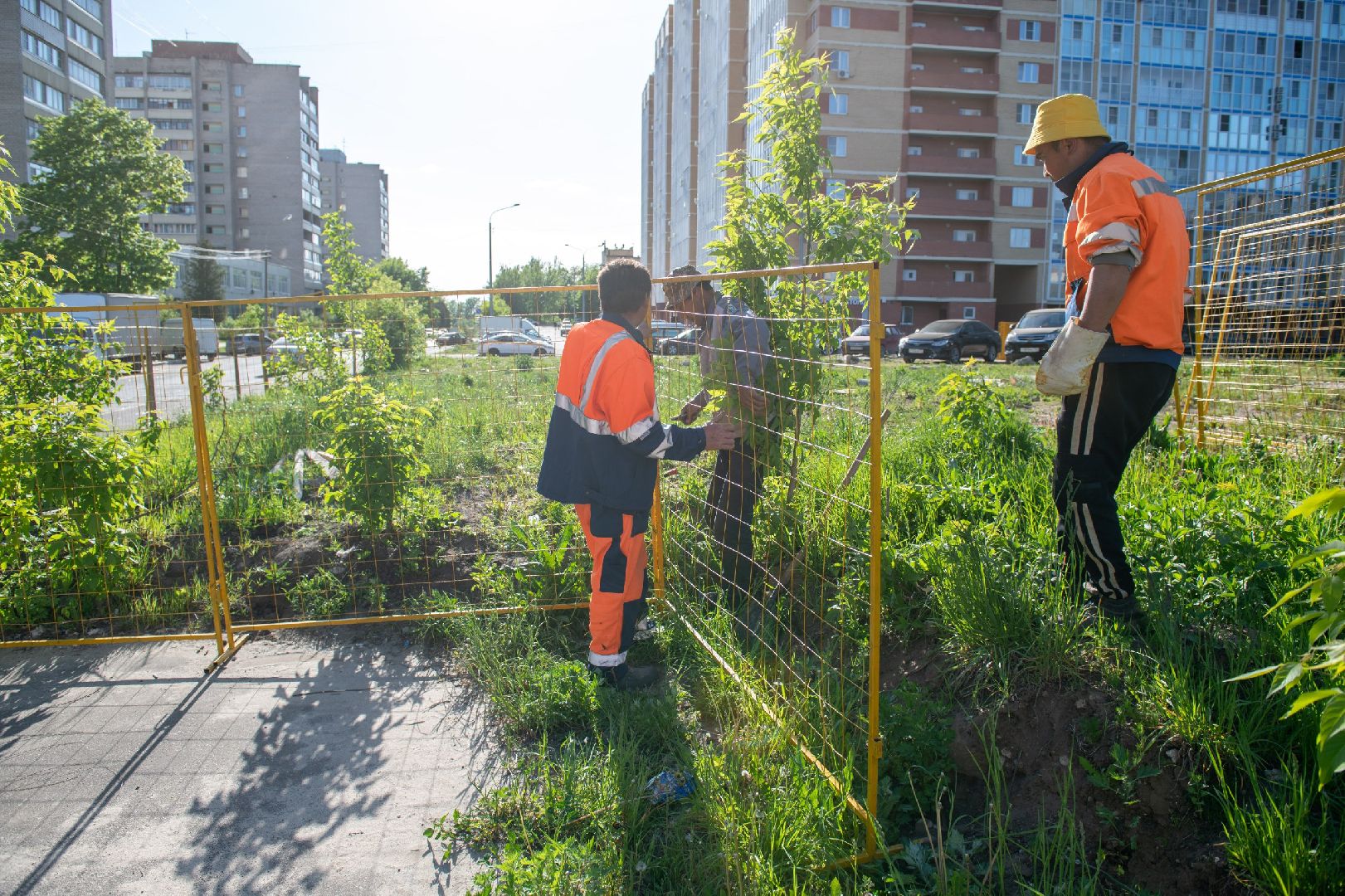 лыткарино, сквер, благоустройство