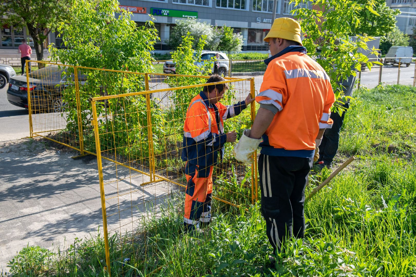лыткарино, сквер, благоустройство