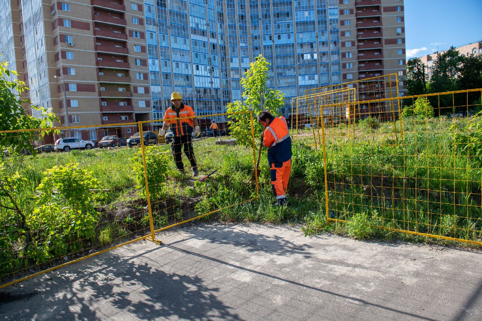 лыткарино, сквер, благоустройство