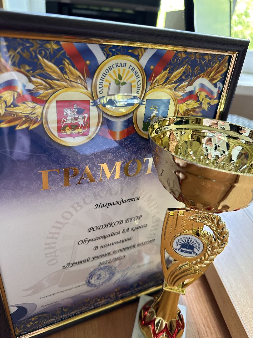 Образование, ВОШ, Одинцово, Подмосковье, Олимпиадное Движение