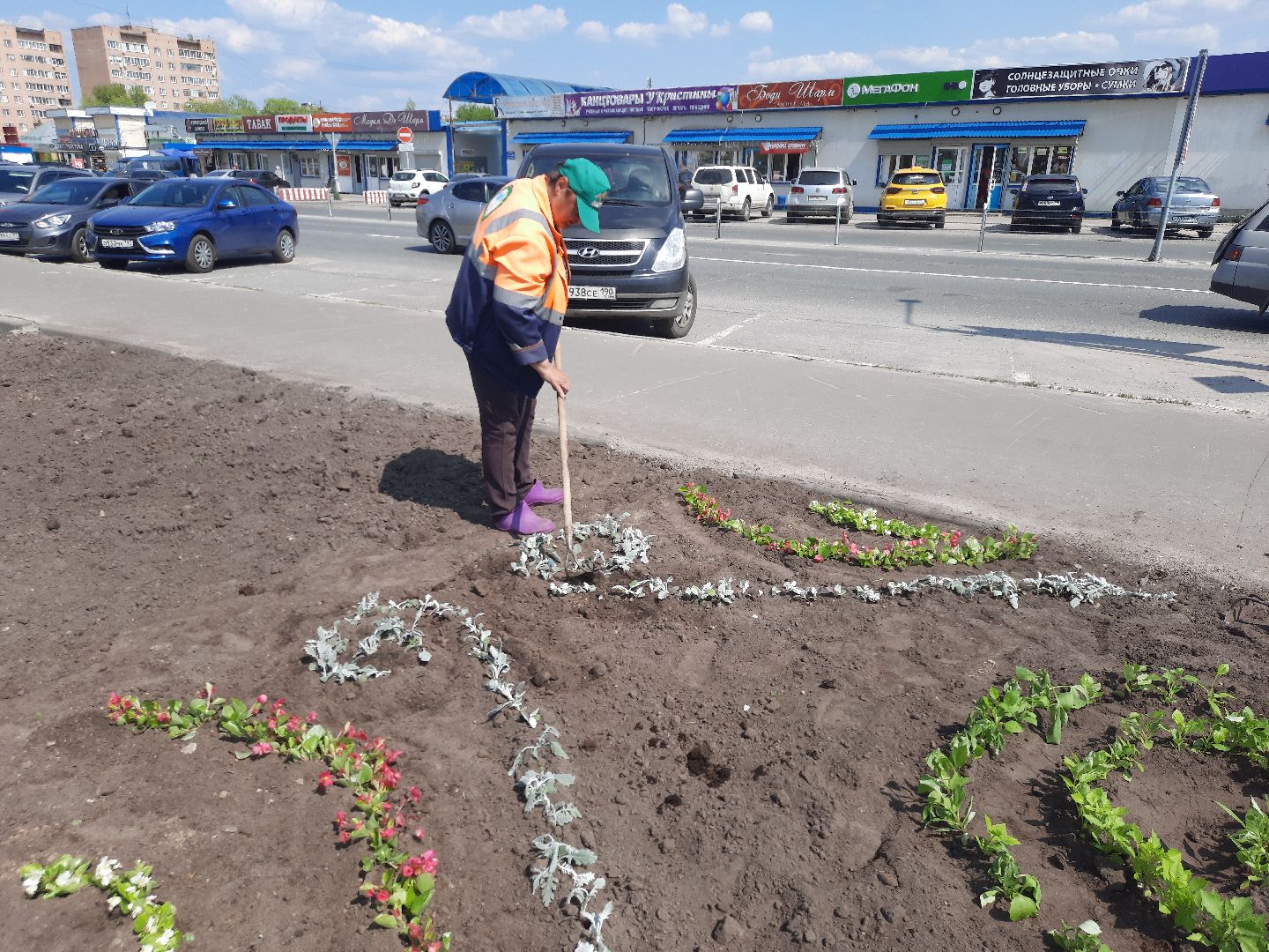 Шатура, первые цветы, высадка цветов в клумбы.