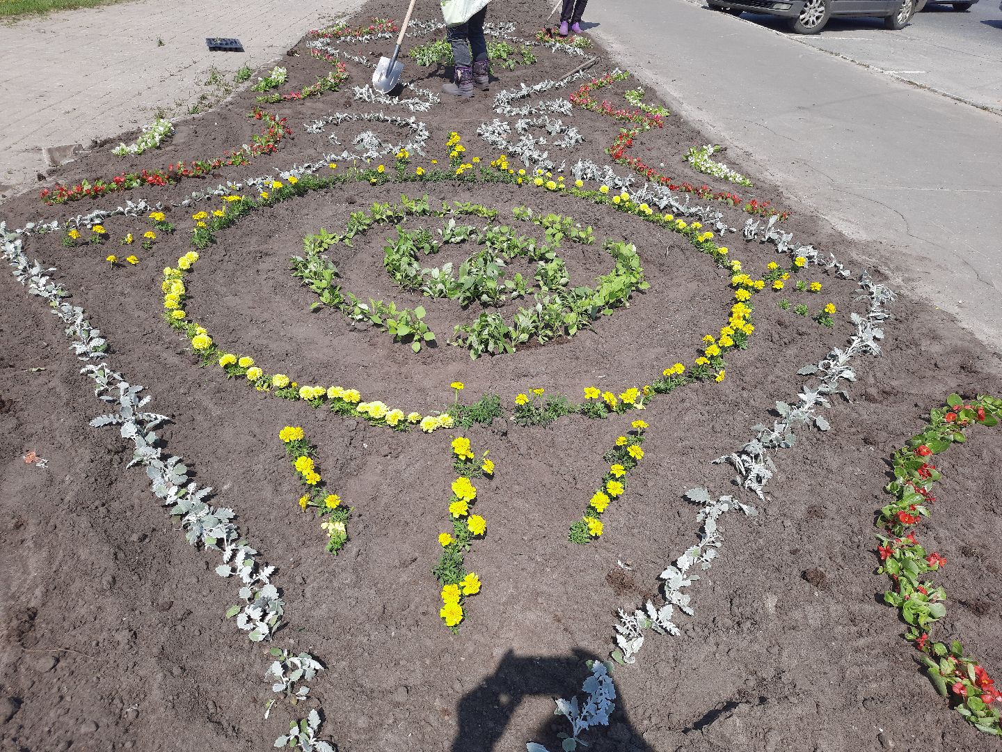 Шатура, первые цветы, высадка цветов в клумбы.