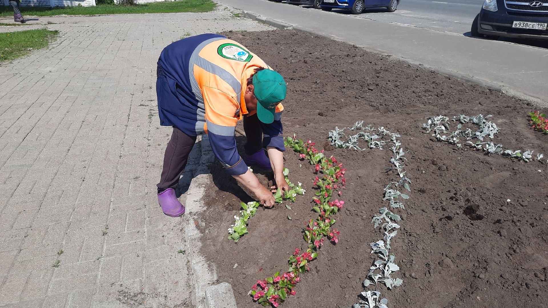 Шатура, первые цветы, высадка цветов в клумбы.