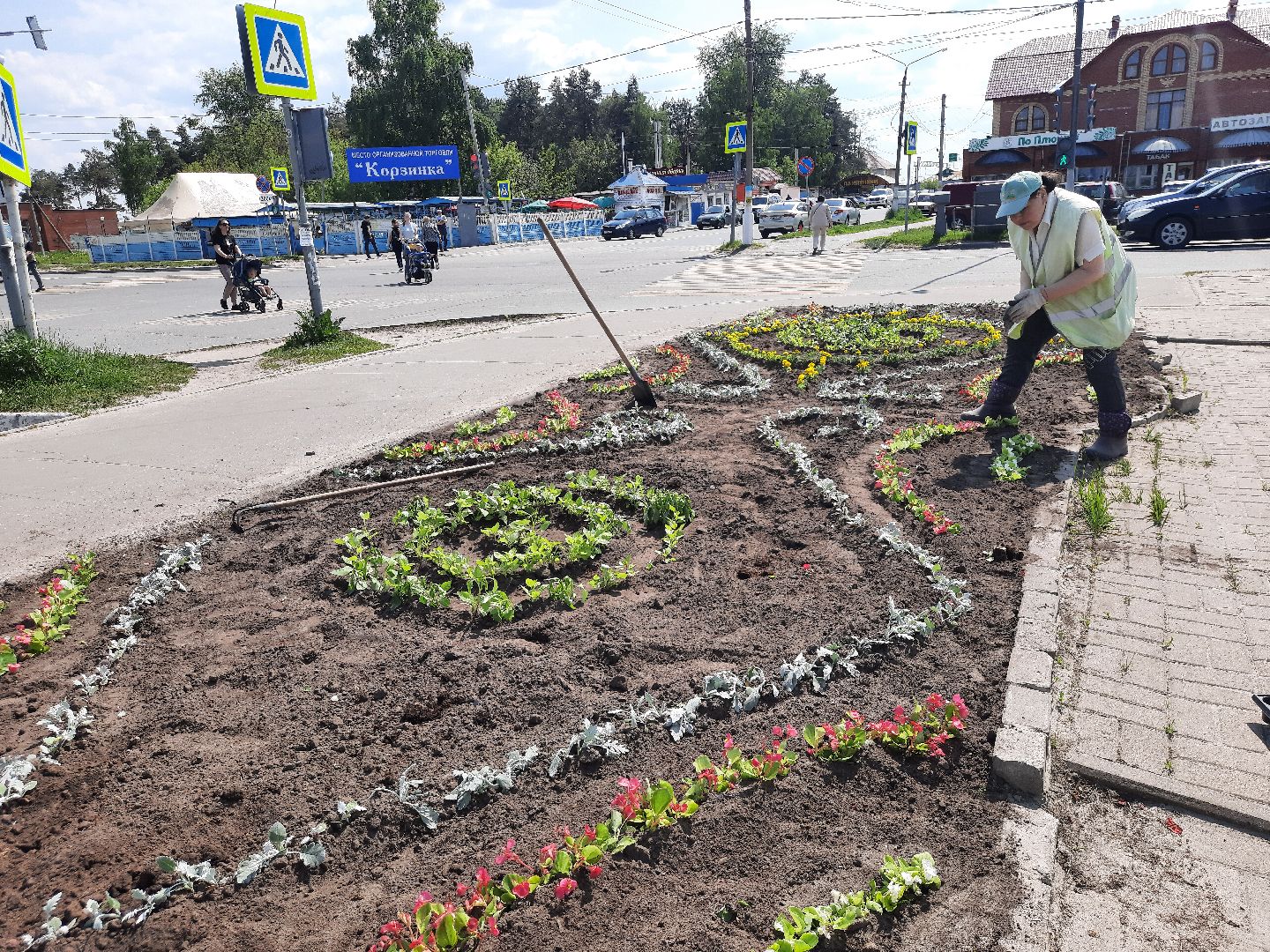 Шатура, первые цветы, высадка цветов в клумбы.
