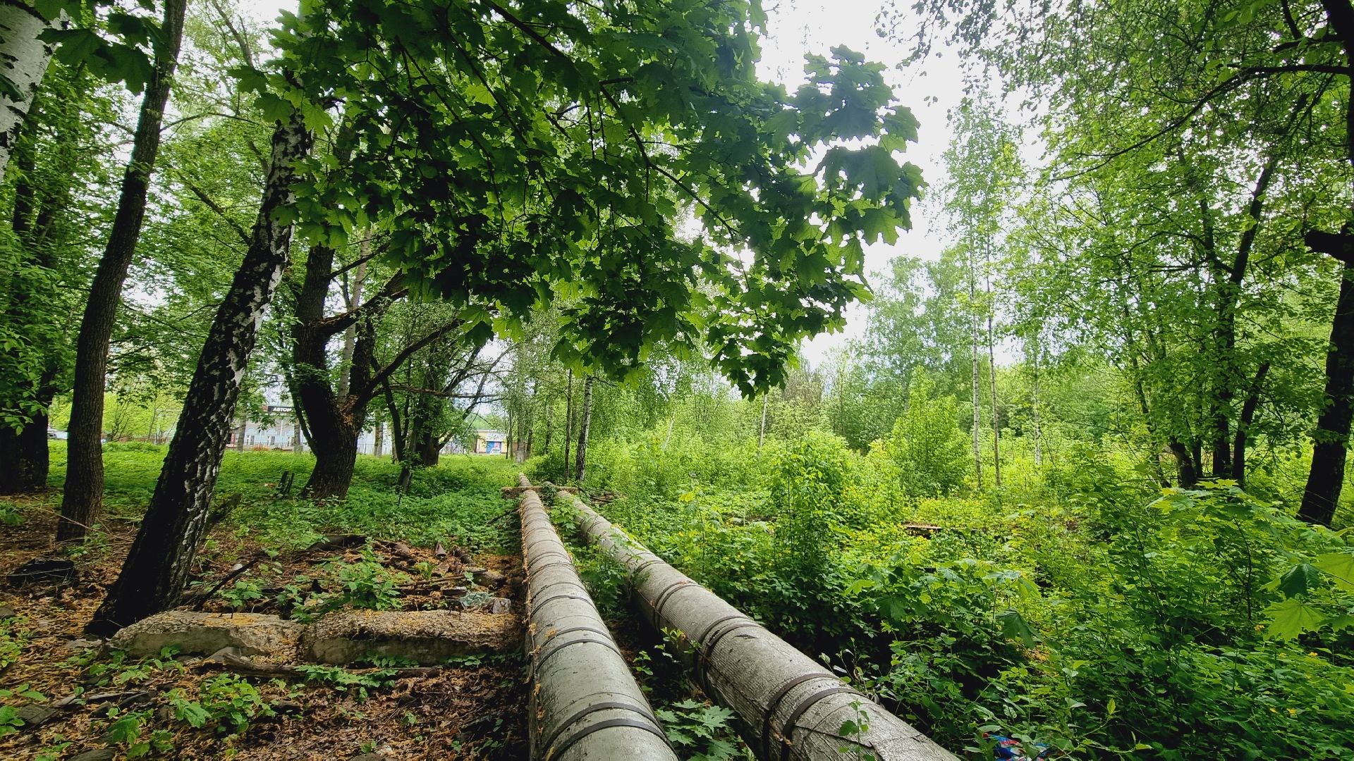 Подмосковье, Ивантеевка, жкх, благоустройство